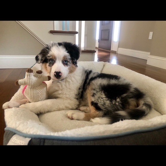 Meet your posher, Danielle! - Picture 2 of 5